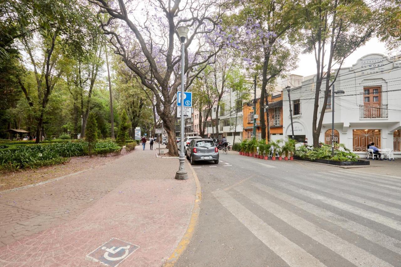 Hotel Sonder Casa Tonala Meksyk Zewnętrze zdjęcie